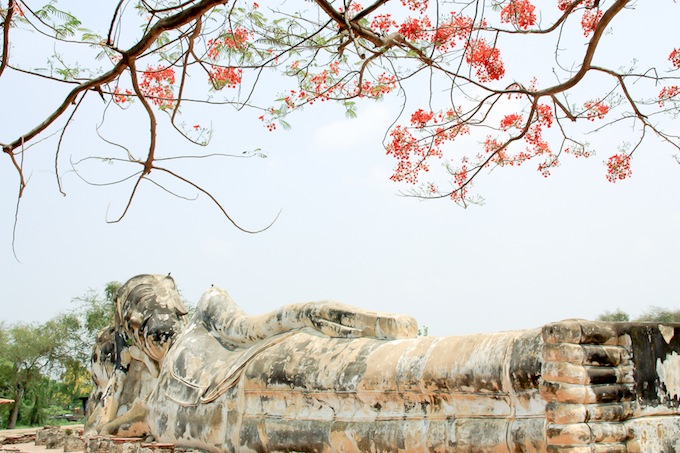 2010Thailand+16