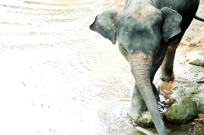 2010Thailand+23