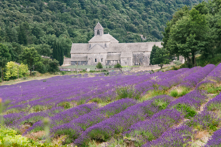 provence+30a