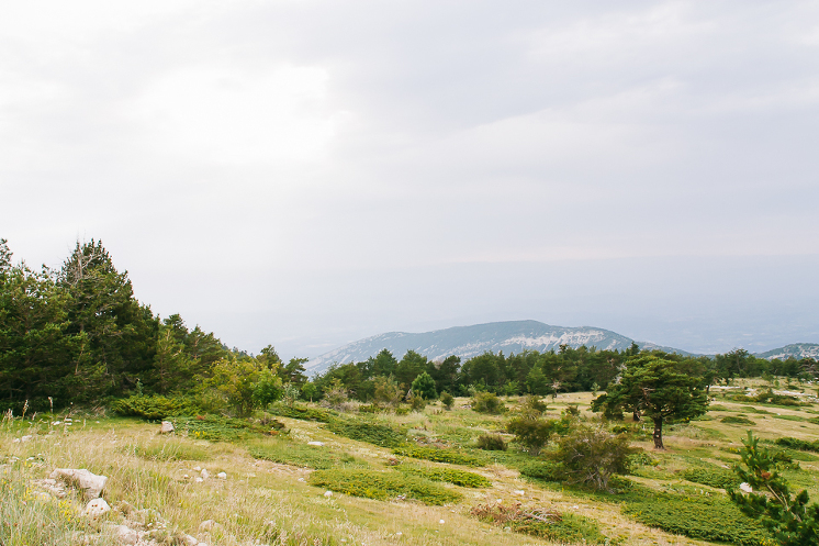 provence+31